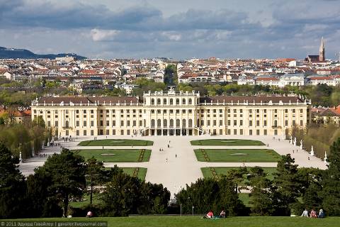 Роскошные дворцы и шницель в Вене