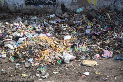 Индия — страна мусора