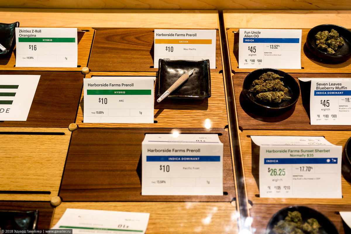 Магазин марихуаны в калифорнии что делать если конопля вянет